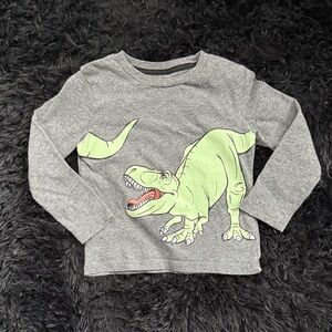 Falls Creek Gray and Green Dinosaur Long Sleeve Tee